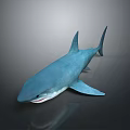 Sleek Blue Shark Swimming Gracefully in Ocean Waters with Sharp Fins and Smooth Skin
