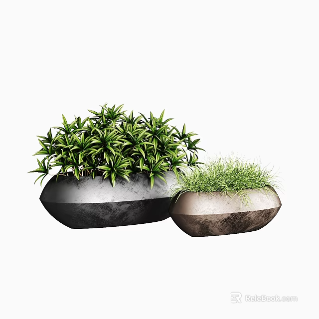 Small Bonsai Potted Plants with Green Lush Foliage in Textured Stone Containers 3d model 