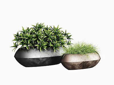 Small Bonsai Potted Plants with Green Lush Foliage in Textured Stone Containers 3d model