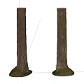 Tall Arbor Trunks With Green Grass At Base On White Background 3d model