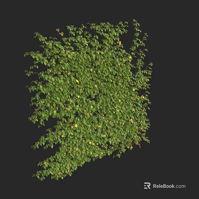 Green Vines With Lush Foliage Dense Leafy Growth And Natural Climbing Pattern 3d model 