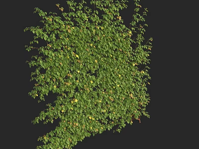 Green Vines With Lush Foliage Dense Leafy Growth And Natural Climbing Pattern 3d model