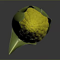 Fresh Corn Cob with Yellow Kernels and Green Leaves for Daily Use
