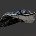 Blue Lizard With Coiled Body And Tail Displayed On Natural Rock Slab