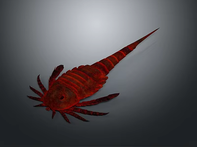 Realistic Red Segmented Arthropod With Long Tail Spine And Multiple Legs 3d model