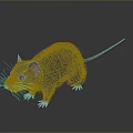 Game And Movie Character Black Rat With Pink Ears Pink Paws And Long Tail