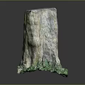 Rustic Wooden Stump Decorative Ornament With Natural Texture And Green Plants At Base