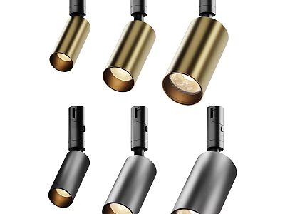 Modern Design Downlights And Spotlights In Gold Black Silver Metal For Indoor Lighting 3d model