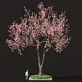 Sakura Inspired Food Display With Pink Blossom Tree And Green Grass