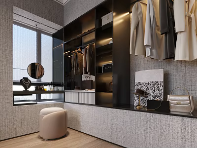 Modern Walk in Closet Interior With Clothes Storage And Decor 3d model