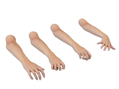 Decorative Ornament Display Set With Arm Mannequins For Jewelry Showcase 3d model
