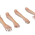 Decorative Ornament Display Set With Arm Mannequins For Jewelry Showcase