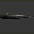 Fish Freshwater Fish Sea Fish Animal Game Animal Cartoon Animal Realistic Animal 3d model