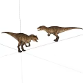 Two Realistic T Rex Dinosaur Toy Models With Detailed Texture Facing Each Other 3d model