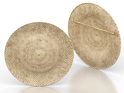 Traditional Woven Straw Weapon With Round Shield And Wooden Stick 3d model