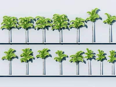 Neatly Arranged Green Palm Trees Display on Light Blue Background 3d model