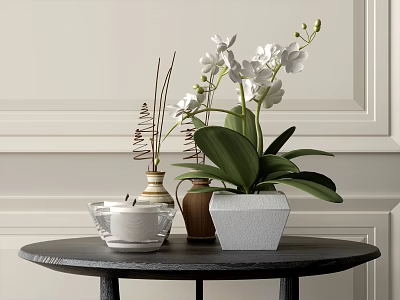 White Orchids in Hexagonal Vase and Clay Pot on Black Round Table with Light Wall 3d model