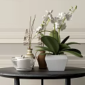 White Orchids in Hexagonal Vase and Clay Pot on Black Round Table with Light Wall