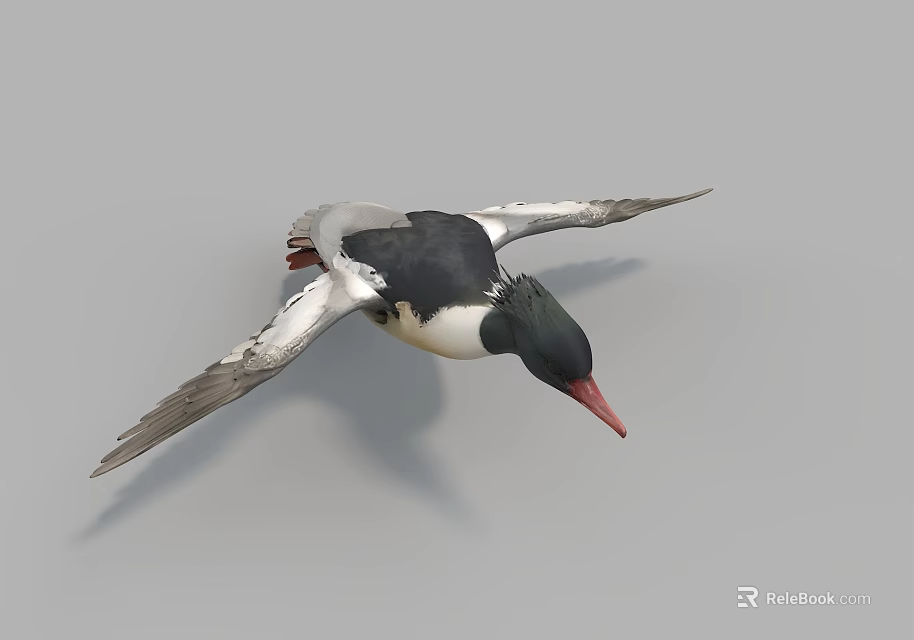 Flying Duck With Red Beak And Black White Feathers Spread Wings In Flight 3d model 