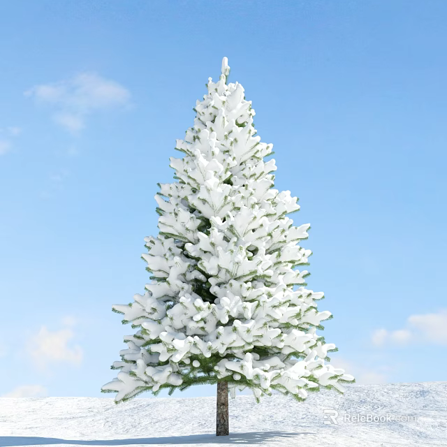 Snow Covered Evergreen Tree Against Blue Sky And White Clouds 3d model 