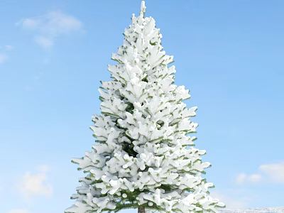 Snow Covered Evergreen Tree Against Blue Sky And White Clouds 3d model