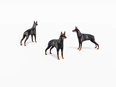 Three Doberman Dog Figurines Standing In Different Poses On White Background 3d model
