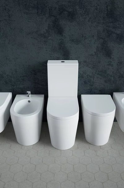 Different Types of White Toilets Against Dark Wall with Hexagonal Floor Tiles 3d model