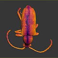 3D Rendered Insect Model With Red Orange Color Shiny Surface And Dark Background
