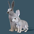 Two White Rabbits Adult and Baby with Soft Fur on Blue Background