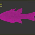 Red and Dark Red Striped Fish with Spiny Fins and Red Tail on Gray Background