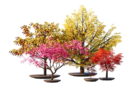 modern tree arbor landscape tree green plant cherry blossom 3d model