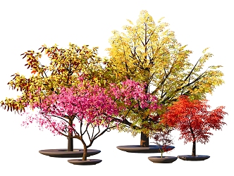 modern tree arbor landscape tree green plant cherry blossom 3d model