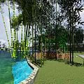 Tranquil Park Landscape With Bamboo Grove Blue Pool And Green Lawn