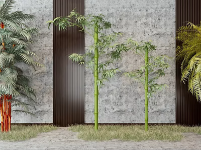 Modern bamboo 3d model