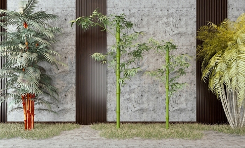 Modern bamboo 3d model