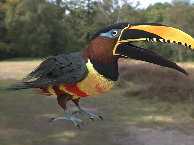 Colorful Toucan With Large Beak In Natural Habitat 3d model