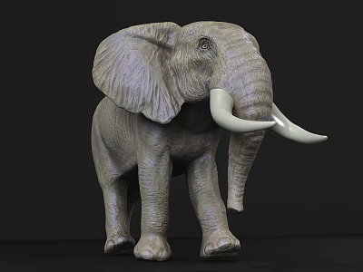 Gray Elephant 3D Model With Large Ears And Ivory Tusks On Black Background 3d model