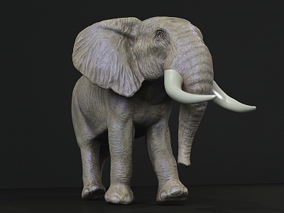 The Modern Elephant model