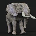 The Modern Elephant 3d model