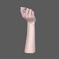 Anatomically Detailed Human Hand with Palm Up and Naturally Curved Fingers Against Gray Background