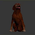 Red Dog Sitting With Tongue Out On Dark Background 3D Render