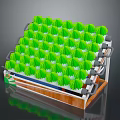 Green Plants In Layered Cultivation Structure With Multi Colored Base And Metal Supports