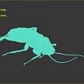 Detailed Realistic Cockroach Model With Segmented Body And Long Antennae 3d model