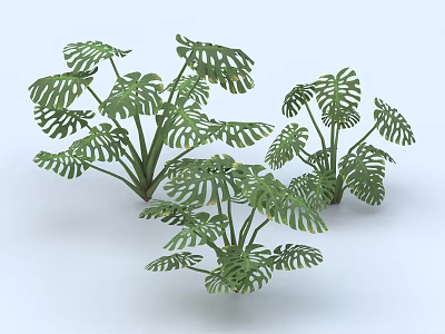 Lush Green Shrubs With Monstera Leaves For Indoor And Outdoor Decor 3d model