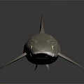 Spotted Shark 3D Model With Light Brown Body Dorsal Fins And Reflection On Dark Background 3d model
