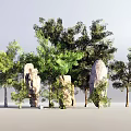 Natural Plant Combination With Various Trees Shrubs And Decorative Stones