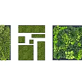 Living Plant Wall Various Greenery Shapes and Designs for Indoor Outdoor Decor