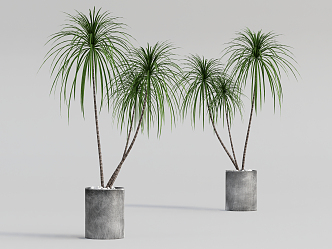 modern potted plant green plant 3d model