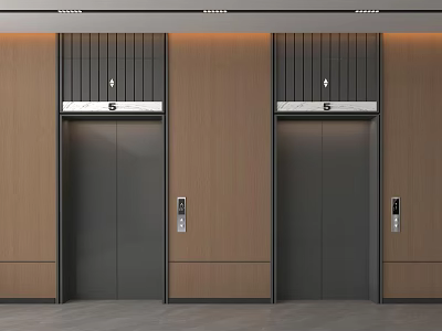 Modern Public Facility Elevators With Two Units Wooden Walls And Metal Doors 3d model