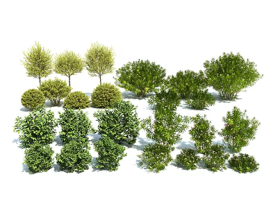 Diverse Green Shrubs With Lush Foliage And Various Sizes For Landscaping 3d model